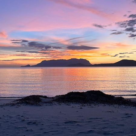 Rosa Dei Venti - Casa Maestrale - Sardegna - Iun R2217 Villa Olbia Eksteriør billede