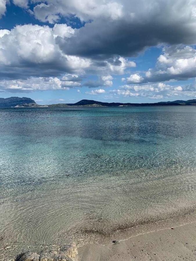 Rosa Dei Venti - Casa Maestrale - Sardegna - Iun R2217 Villa Olbia Eksteriør billede