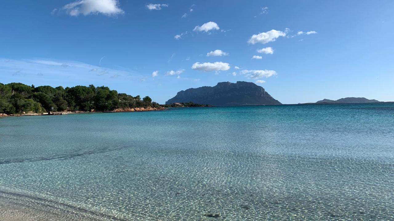Rosa Dei Venti - Casa Maestrale - Sardegna - Iun R2217 Villa Olbia Eksteriør billede